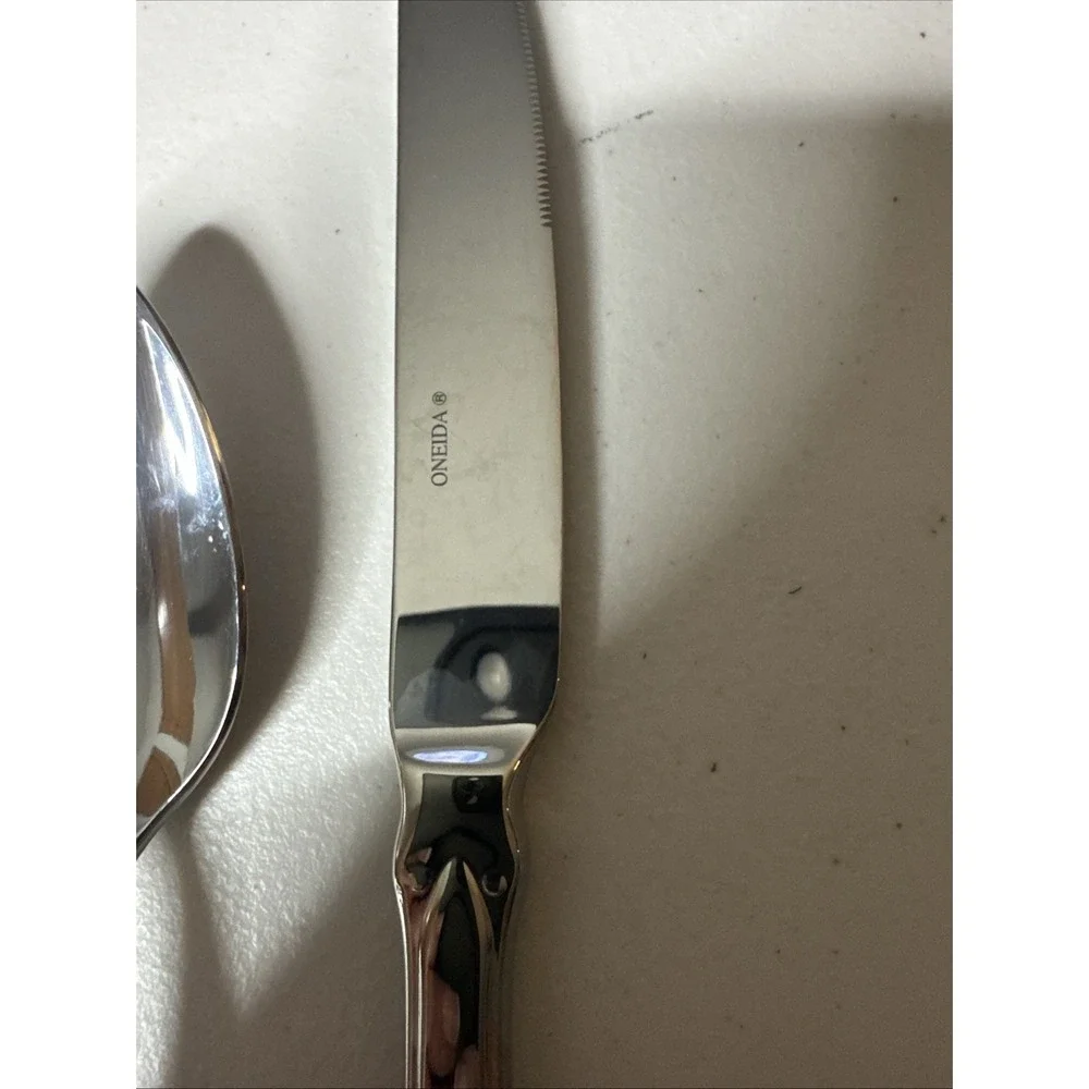 Oneida astair stainless